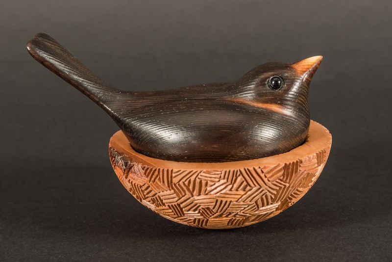 Blackbird on nest by Danny Whelan