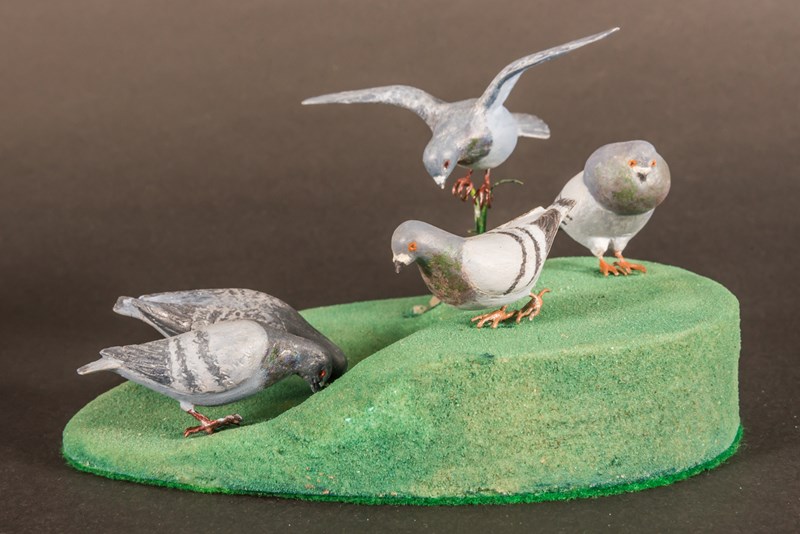 Flock of Pigeons by Tom Hindmarch