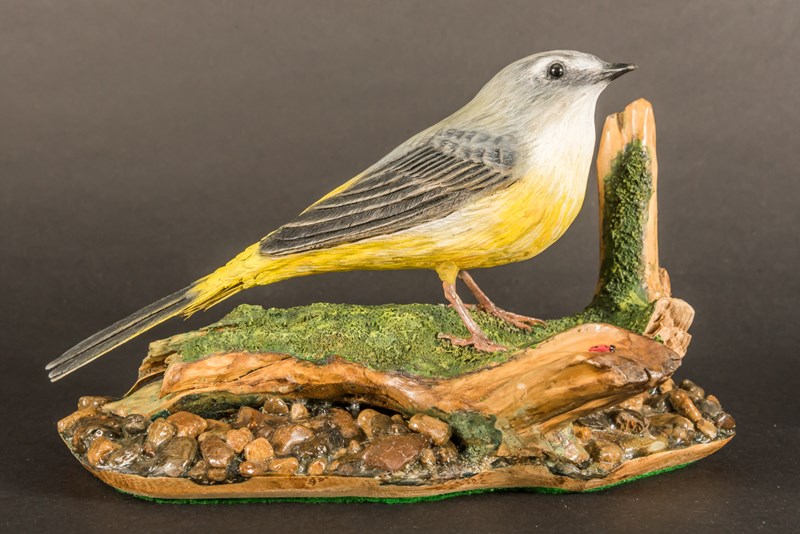 Grey Wagtail standing on mossy stump by Stephen Rose