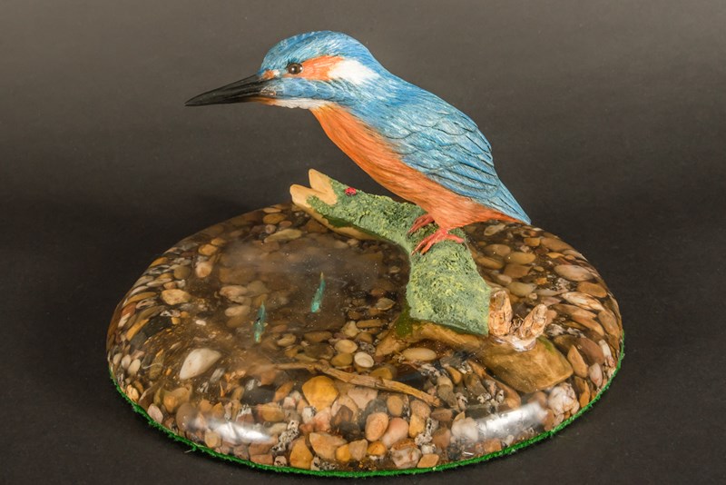 Kingfisher standing on branch in river bed by Stepen Rose