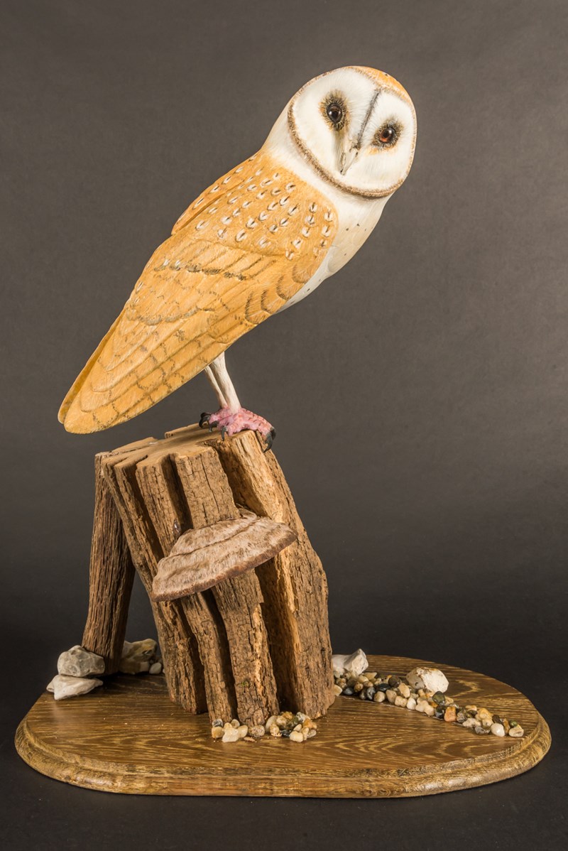 Barn Owl 75% lifesize by George Olsson