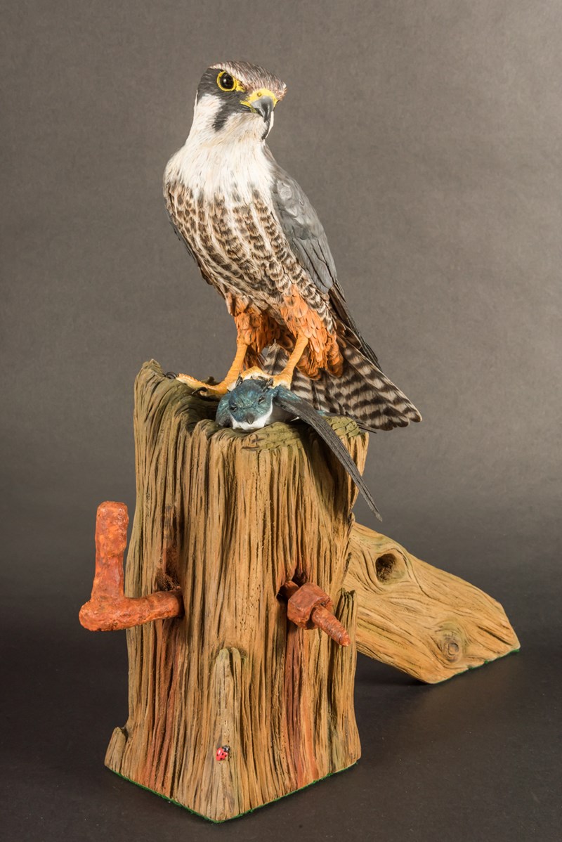 Eurasian Hobby standing over House Martin by Stepehen Rose