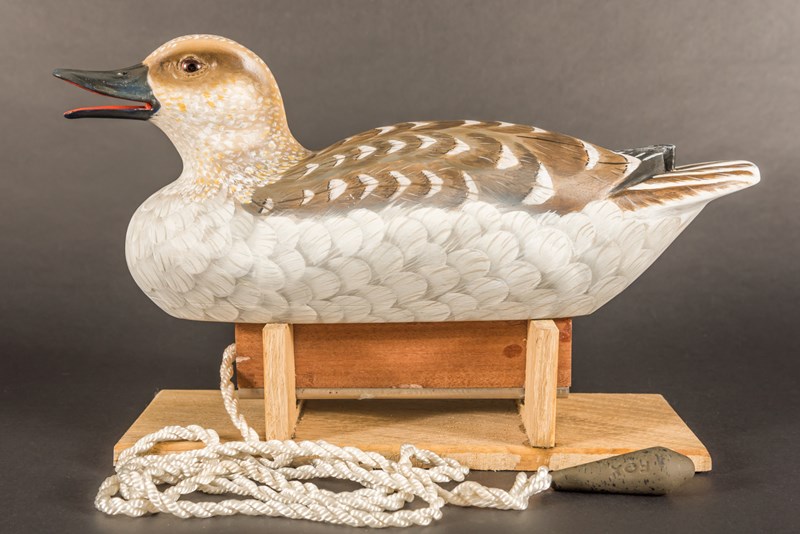 Floating Marbled Teal by Terry Getley