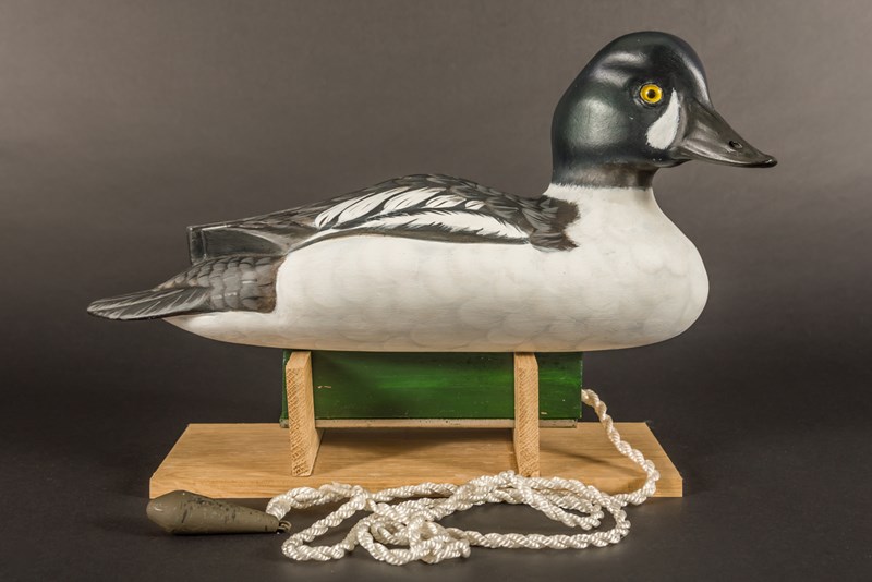 Floating Goldeneye by Terry Getley