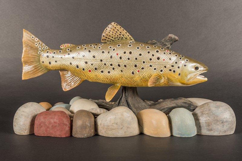17 inch Brown Trout by David Clews