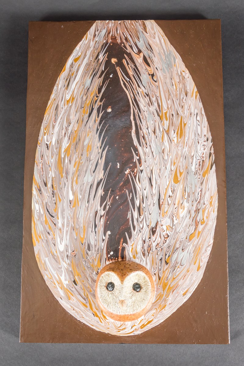 Barn Owl by Stewart Langworth