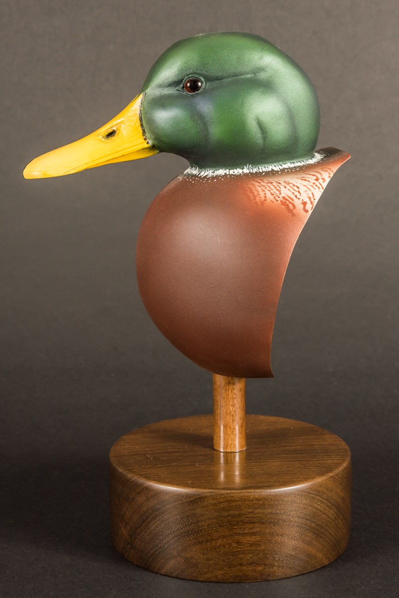 Drake Mallard bust by Paul Daunt