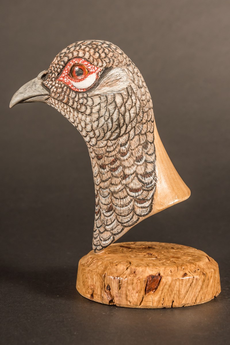 Pheasant by Mark Richards