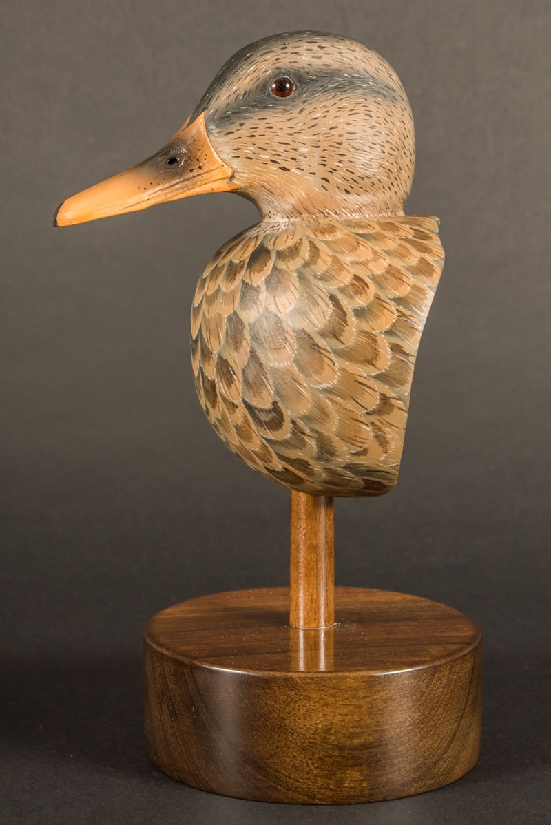 Hen Mallard bust by Paul Daunt