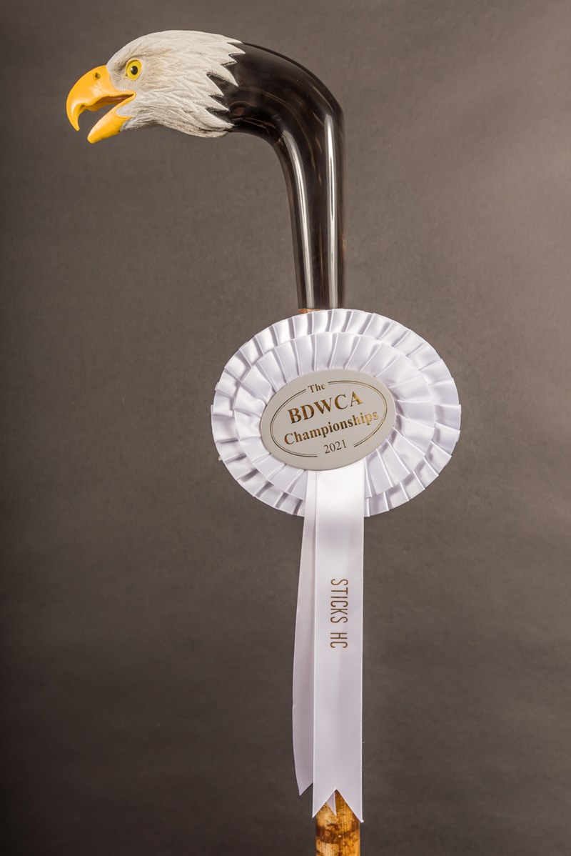 Bald Eagle stick by Paul Daunt