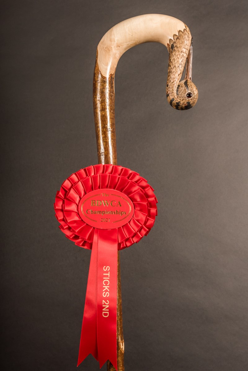 Woodcock by Paul Daunt