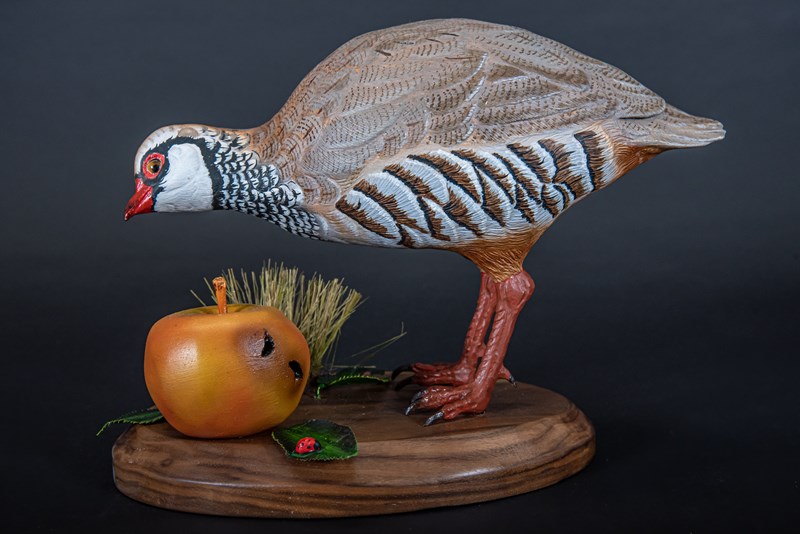 French Partridge by Terry Getley, Highly Commended