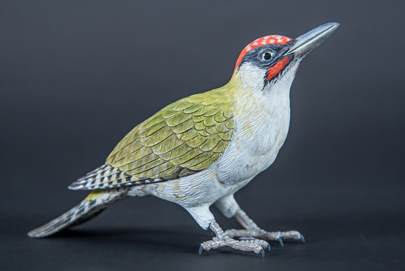 Green Woodpecker by David Askew, First