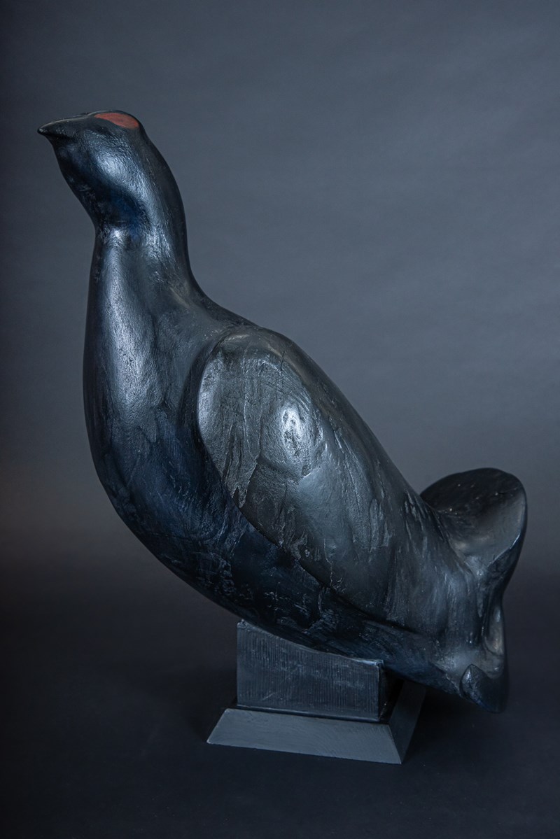 Cock Black Grouse by Owen Wignall, Highly Commended