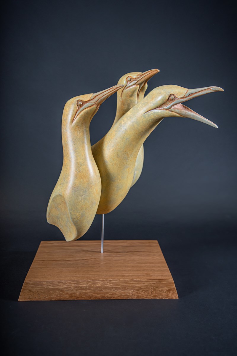 Three Gannets, by Paul Tully, First