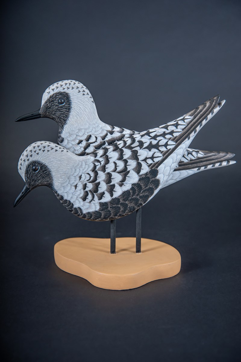 Two Grey Plovers by Paul Dalby, Second
