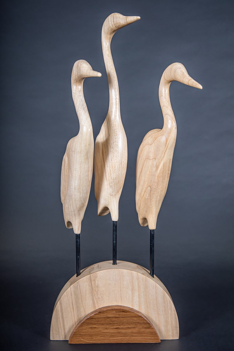 Egrets in Sycamore by Stewart Langworth, Second