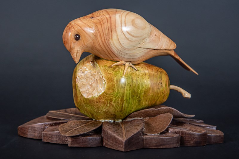 Finch on a Pear by John W White, Highly Commended