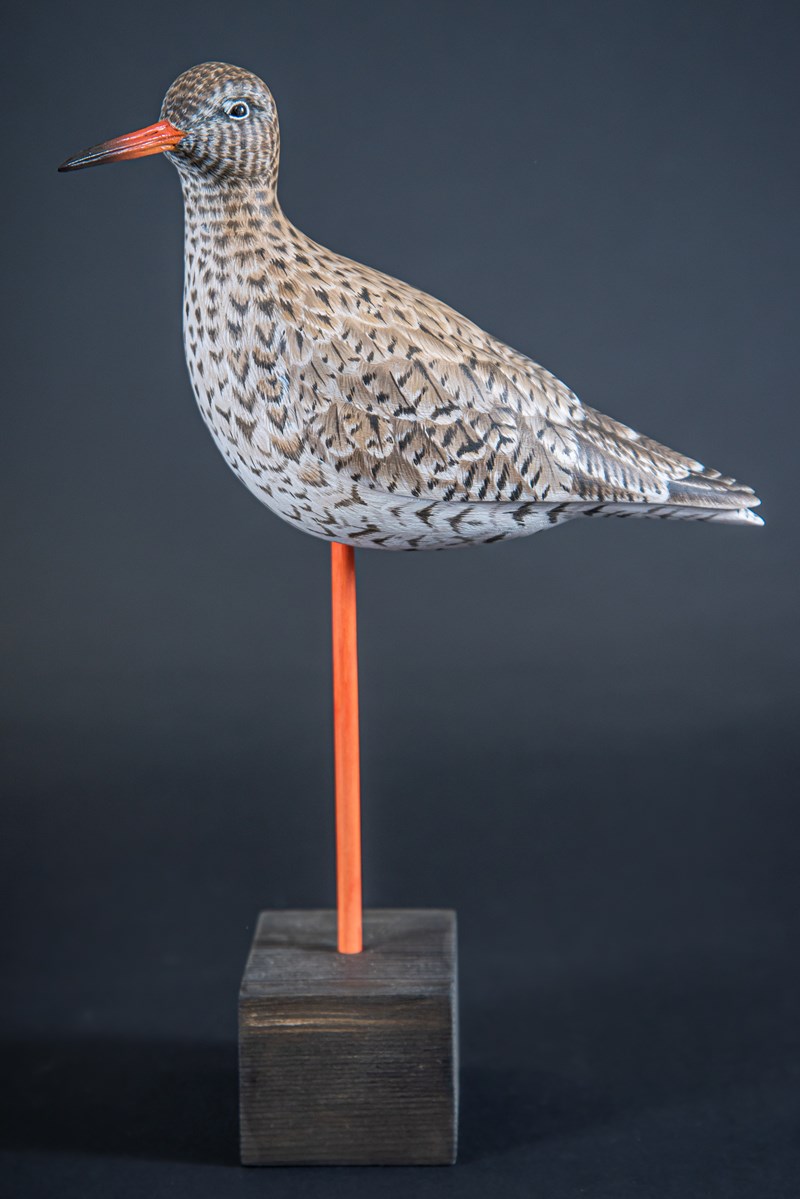 Redshank by David Askew, First
