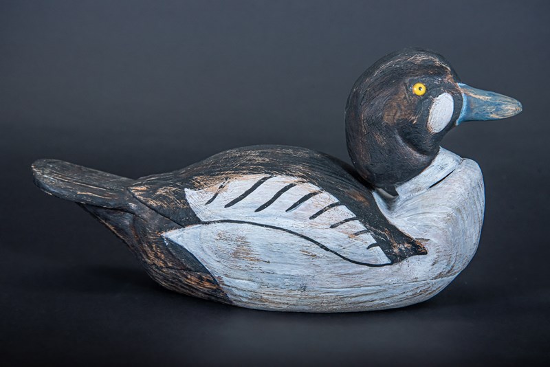 Goldeneye (Bucephala changula) by Richard Rossiter, Highly Commended