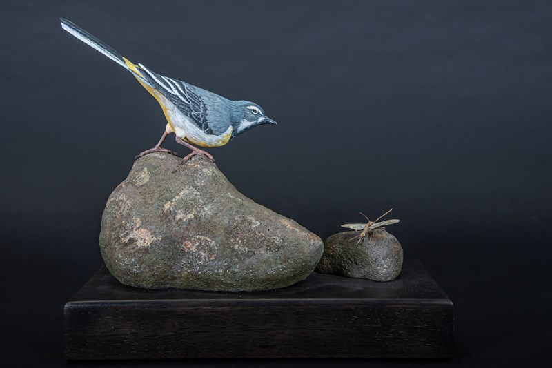 Grey Wagtail with Stonefly by Paul Tully, Highly Commended