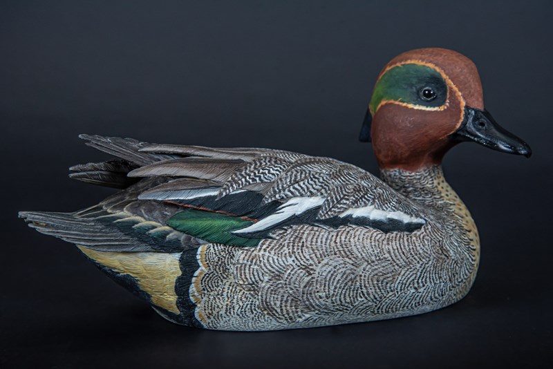 Eurasian Teal (Anas crecca) by Richard Rossiter, Second