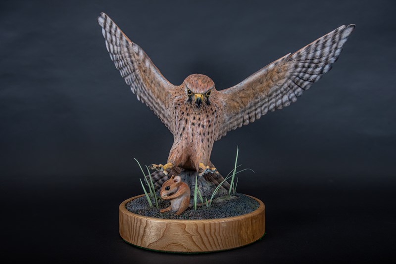 Kestrel swooping on to Harvest Mouse by Stephen Rose, Silver