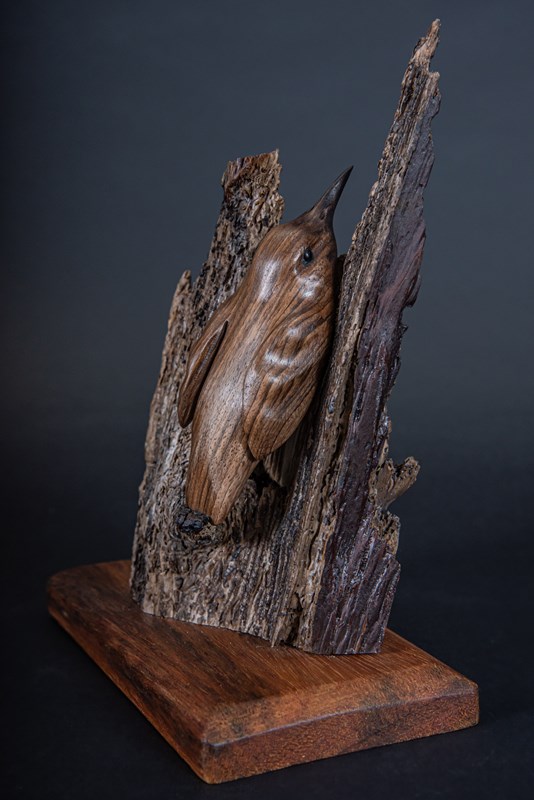Tree Creeper by Derek Black, Silver