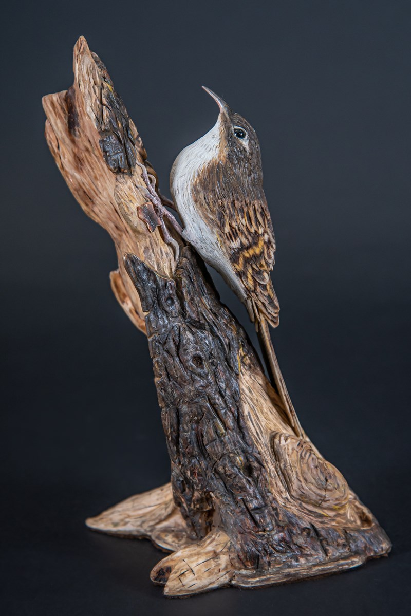 Tree Creeper by Stephen Rose, Gold & Artistic Award