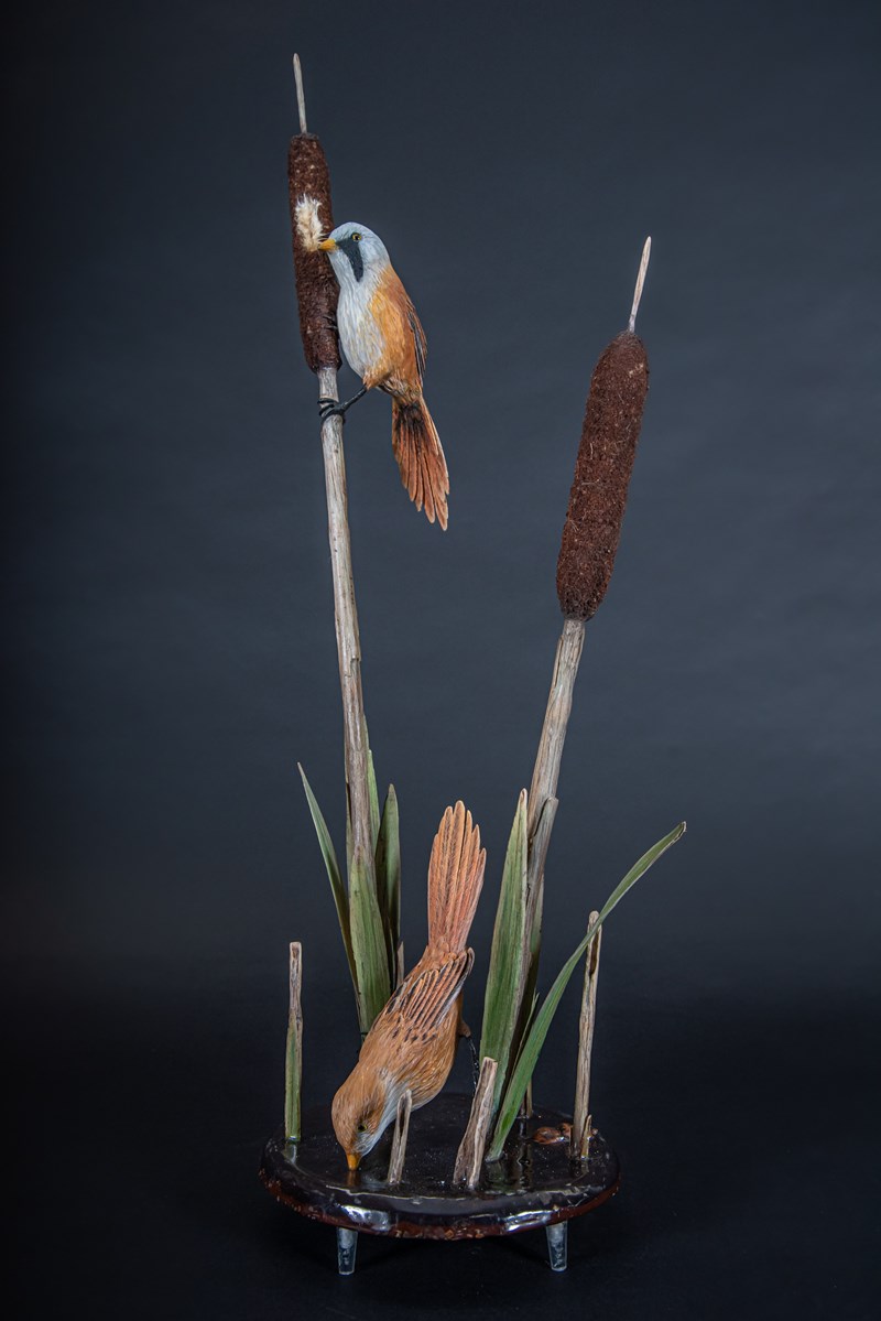 Two Bearded Tits on Bullrushes by Stephen Rose, Silver