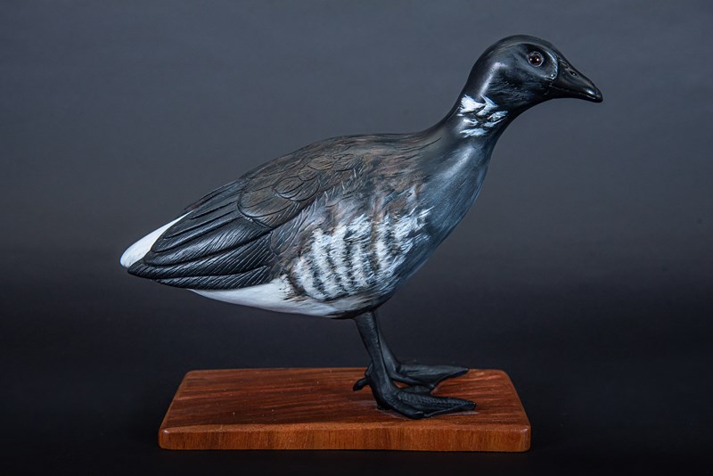 Dark Bellied Brent Goose, 50% lifesize by Derek Black, Silver