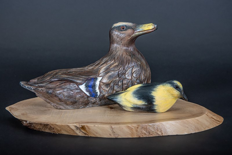 Hen Malland with juvenile, 50% lifesize by Derek Black, Silver