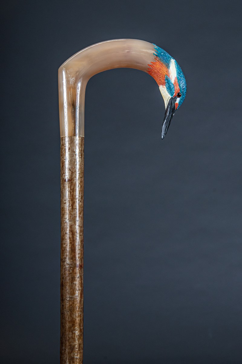 Kingfisher by Paul Daunt, Horn, First & Best in Show