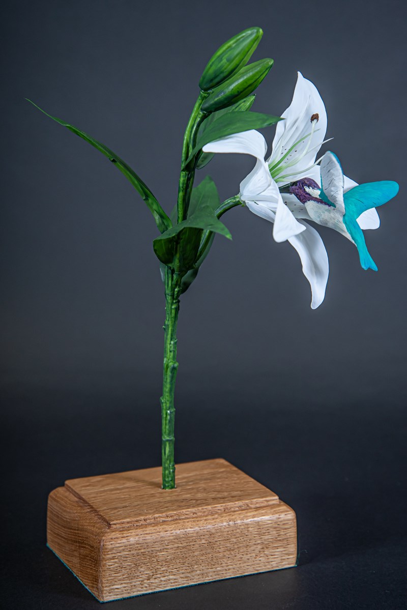 Costa's Hummingbird by Chloe Smyth, Gold & Best Youth