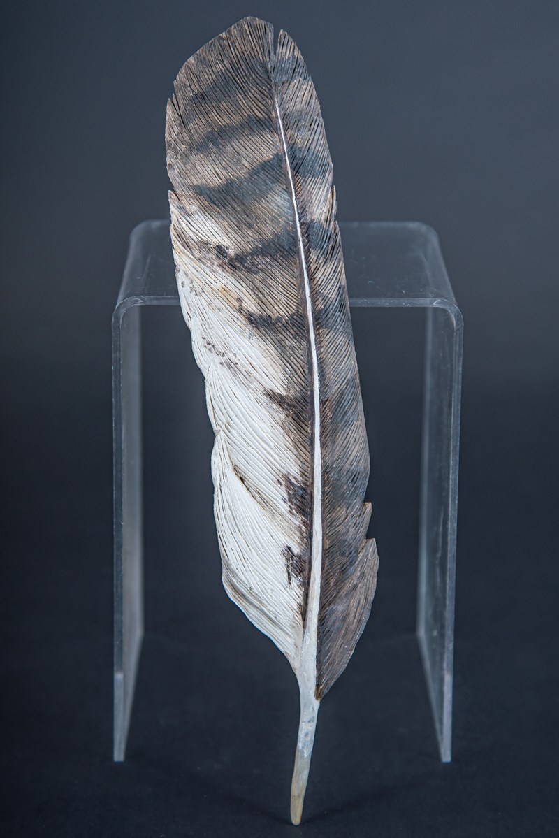 Buzzard Wing Feather by Maggie Port, First