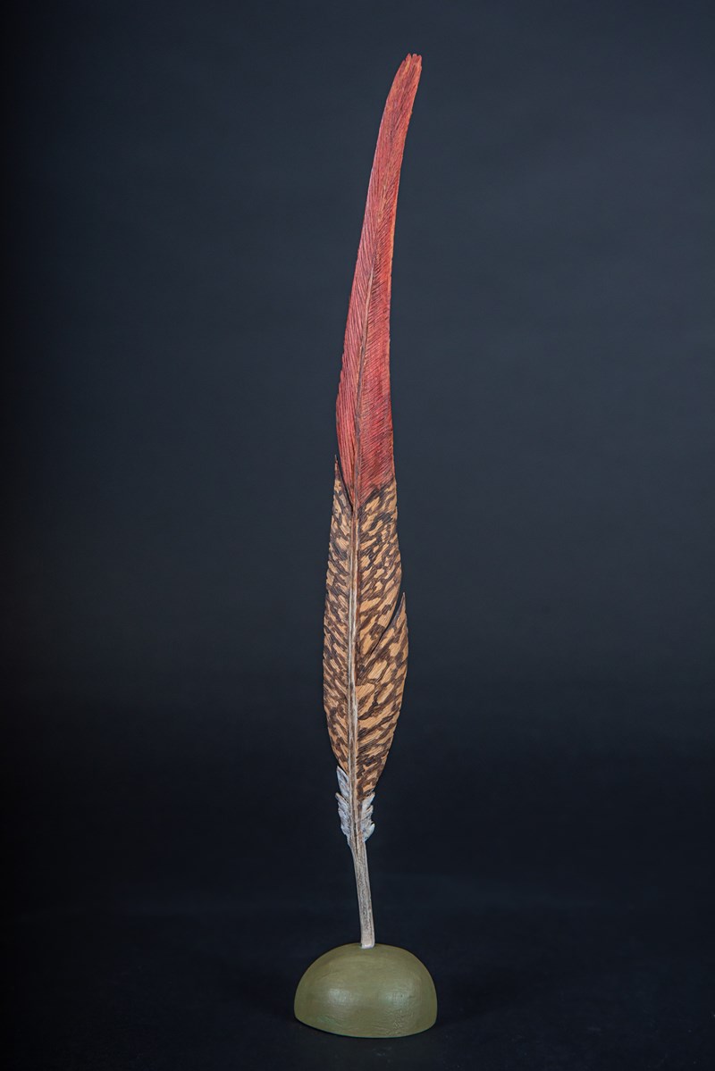 Golden Pheasant Tail Feather by Tom Hindmarch, Second