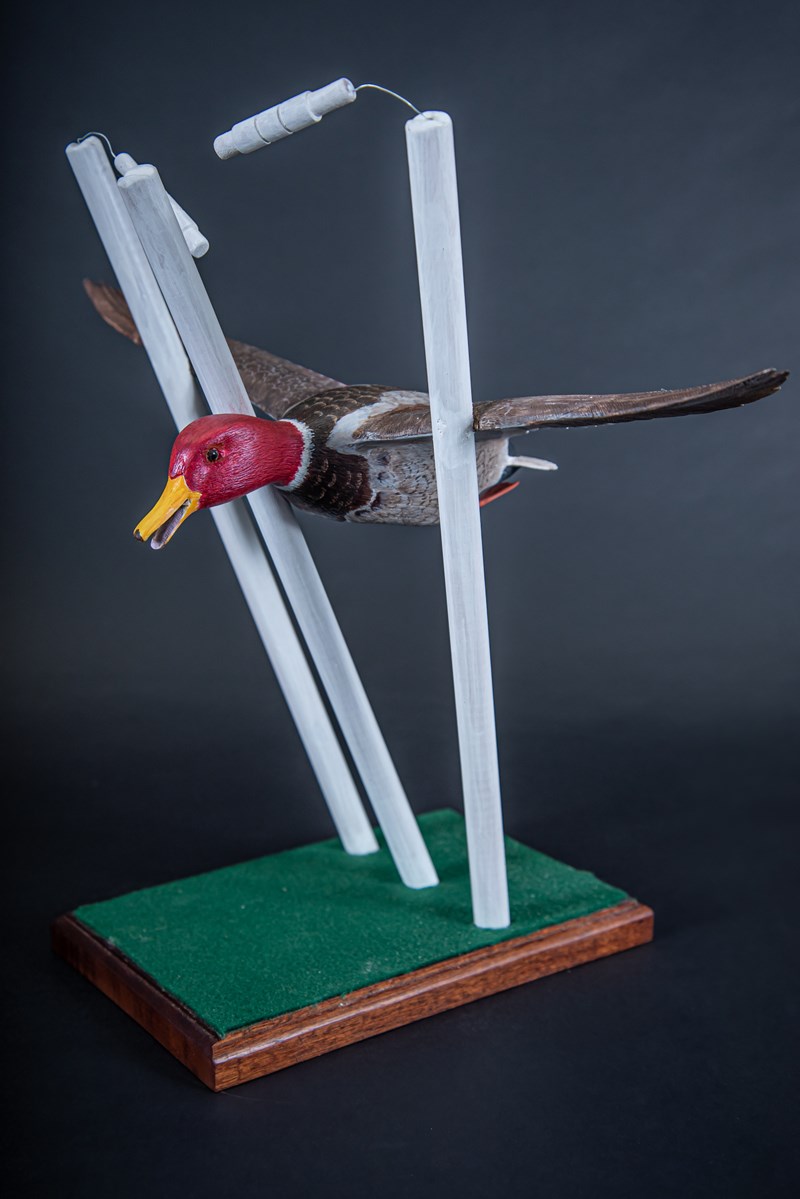 'Out for a Duck' by John W White, First