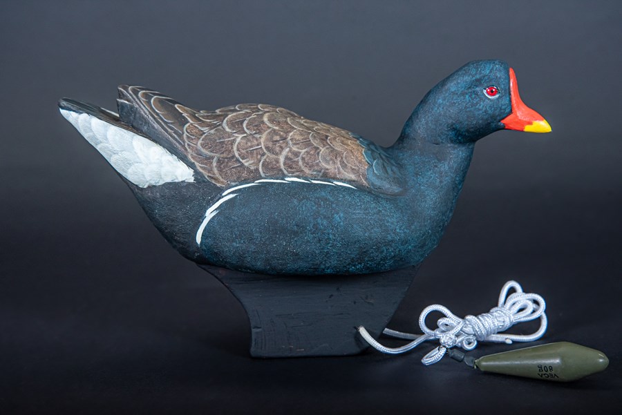 Moorhen (Gallinula chloropus) by Richard Rossiter, Highly Commended