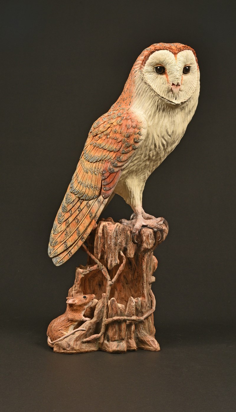 Barn Owl on hollow stump by Stephen Rose, HC