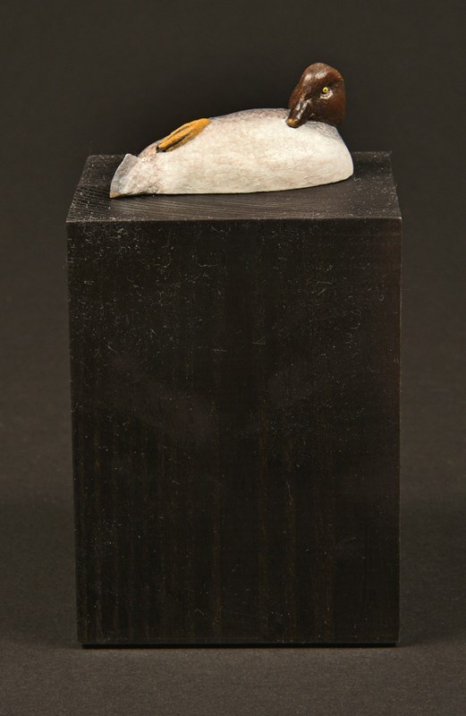 Goldeneye by Lennart Pettersson, 2nd