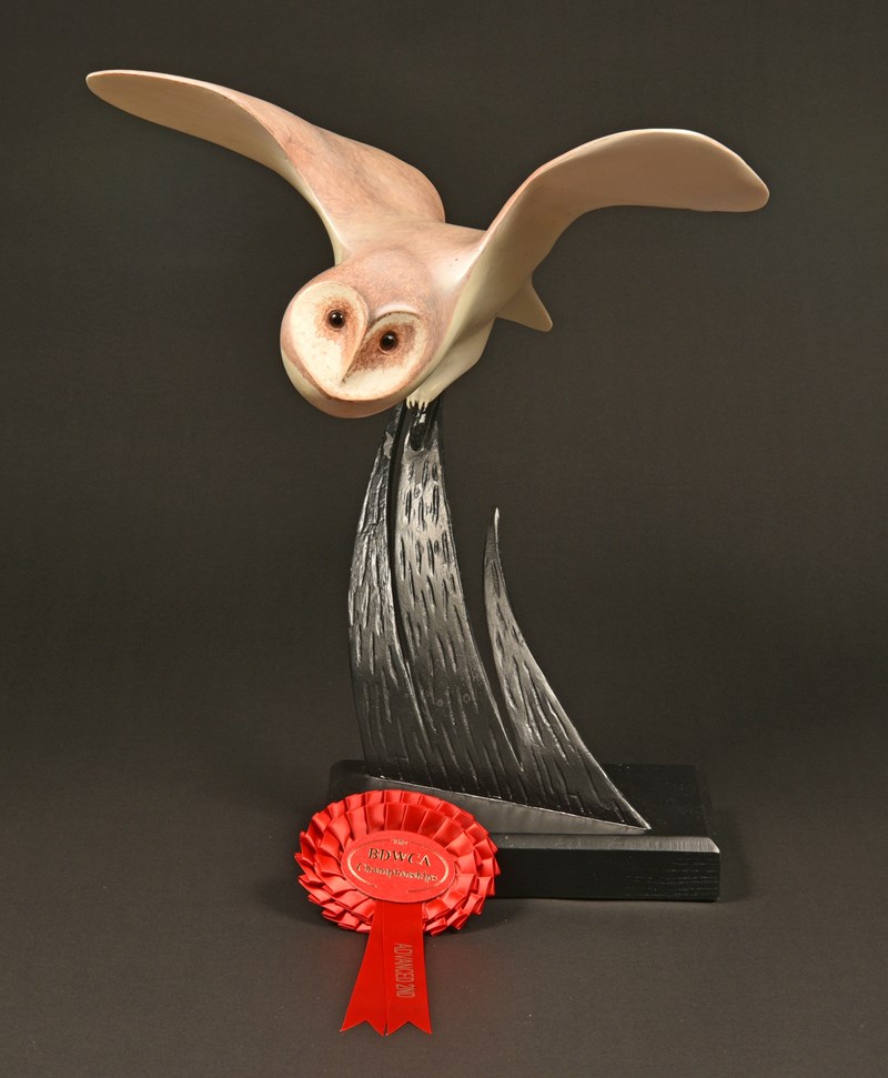 Barn Owl by Owen Wignall, 2nd + Artistic Award