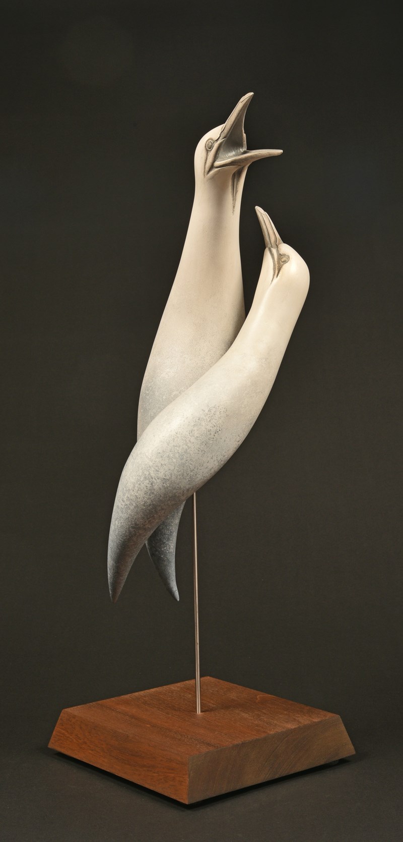 Gannets, approx. 50% lifesize by Paul Tully, 1st