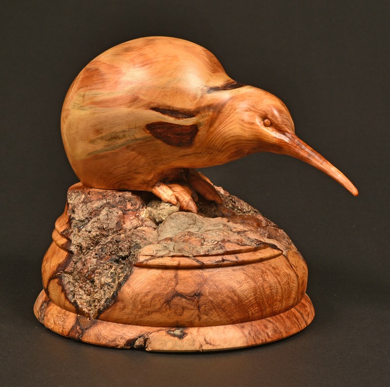 Brown Kiwi by Lennart Pettersson, 2nd