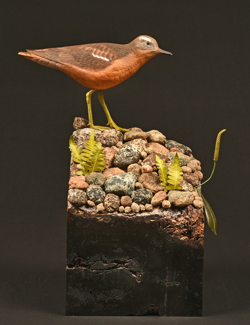 White-winged Sandpiper by Lennart Pettersson, 1st + British Champion, BDWCA Best Open