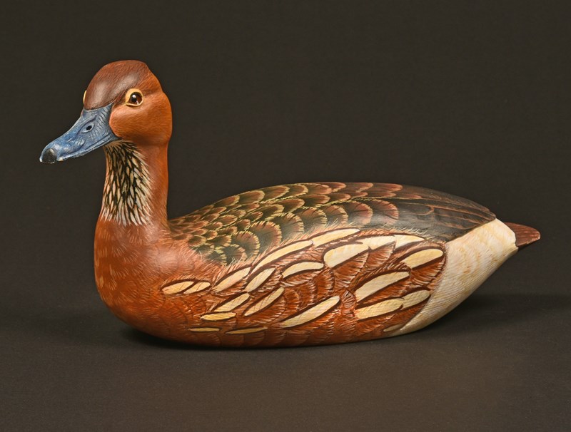 Fulvous Whistling Duck by Mark Richards, 2nd
