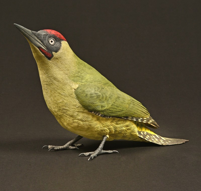 Green Woodpecker by Alan Pickersgill, 1st