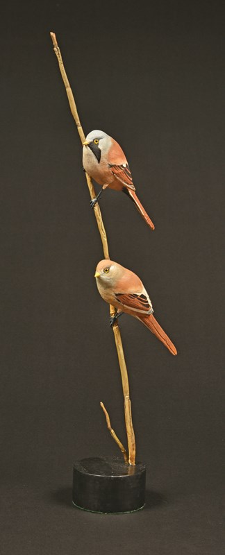 Bearded Reedlings by Alan Pickersgill, HC