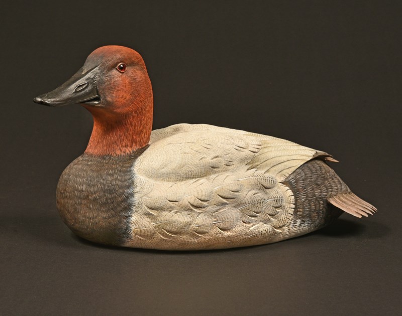 Canvasback Drake by Tom Fitzpatrick, 1st