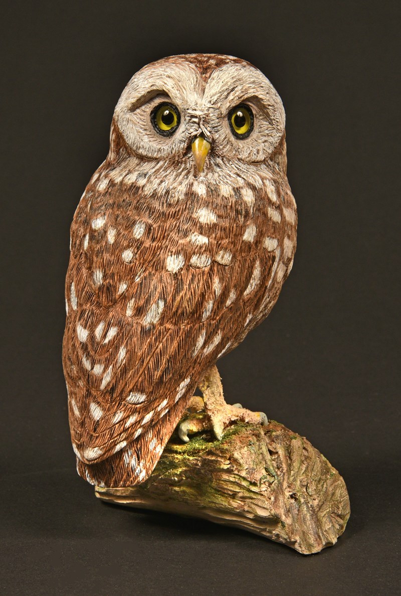 Little Owl by Jan Bartlett, Bronze