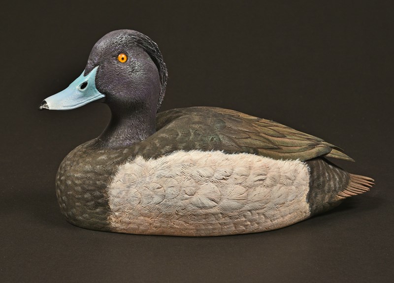 Tufted Duck by William Turkington, Silver